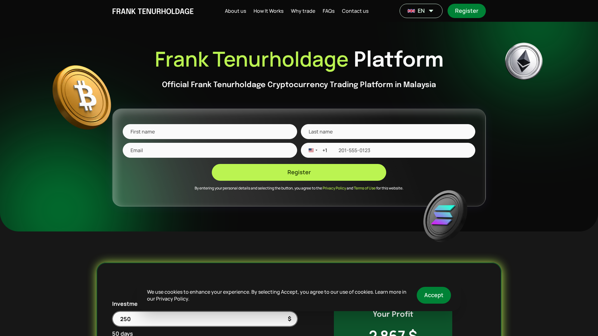 Screenshot of franktenurholdage.com