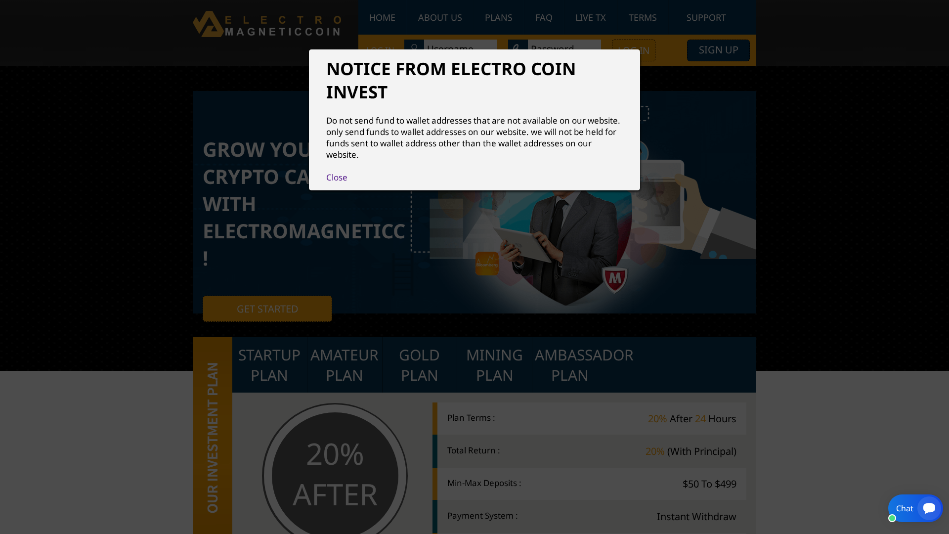 Screenshot of electromagneticcoin.com
