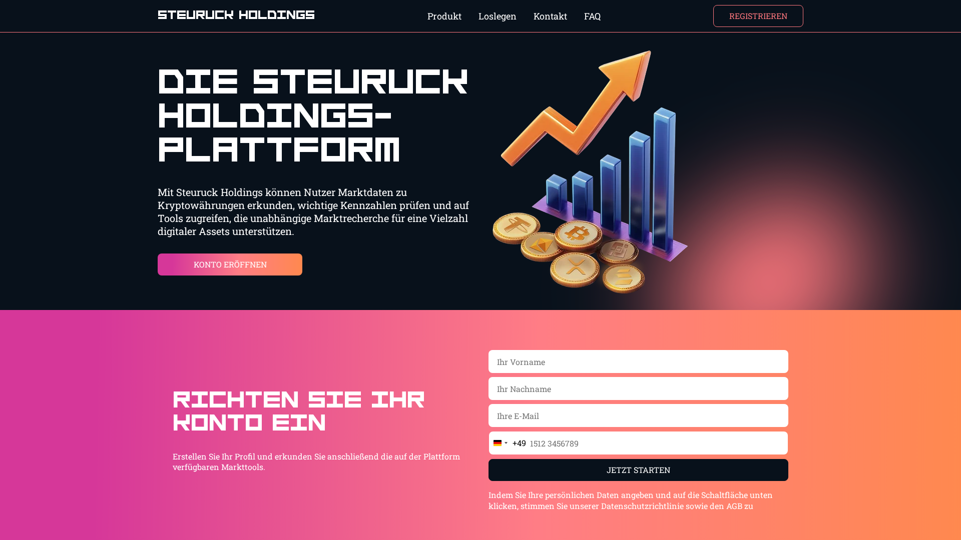 Screenshot of steuruck-holdings.net