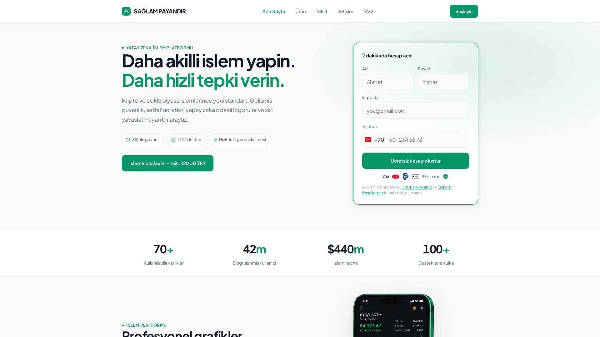 Screenshot of saglam-payandir.com