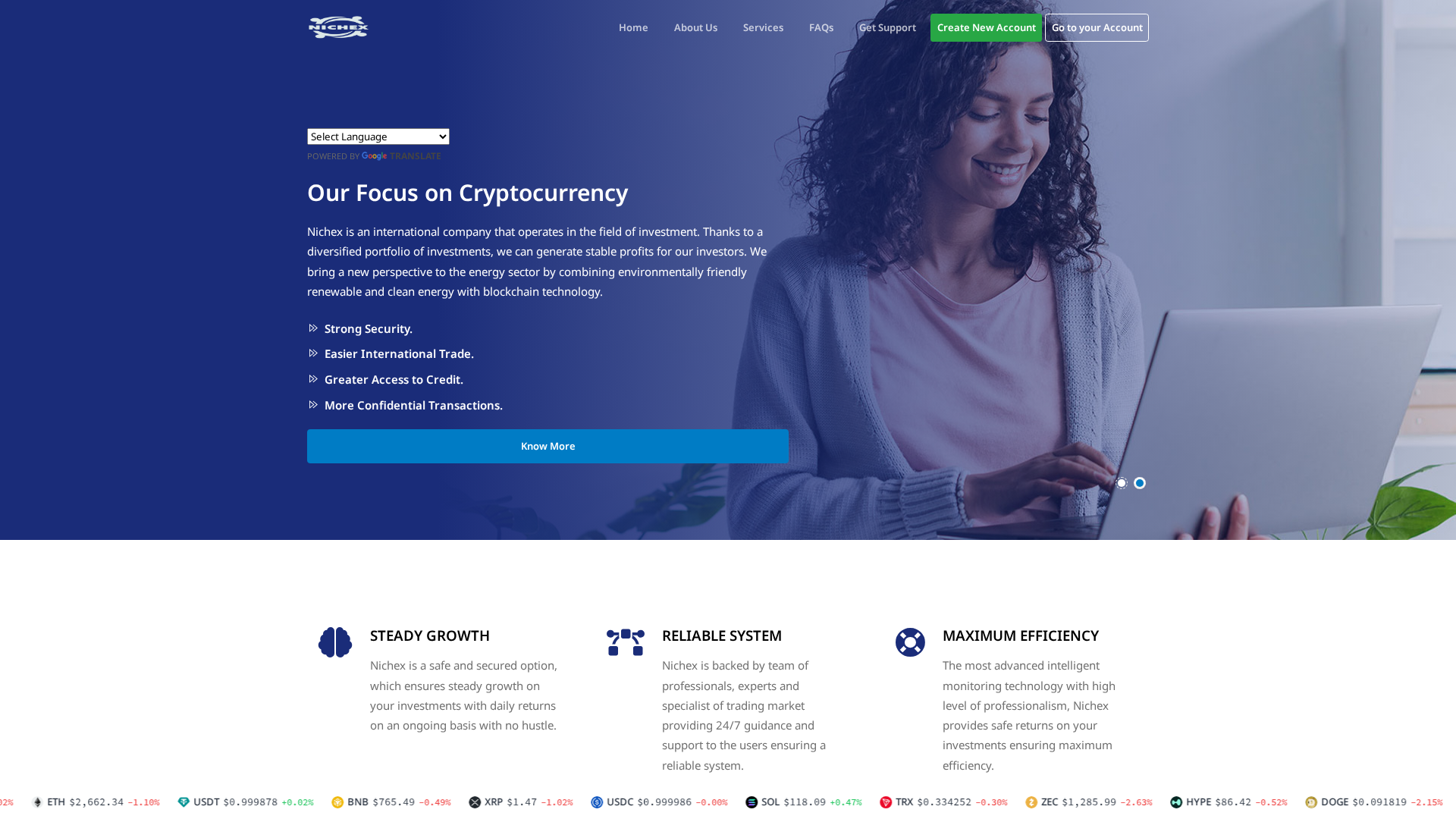 Screenshot of nichexltd.com