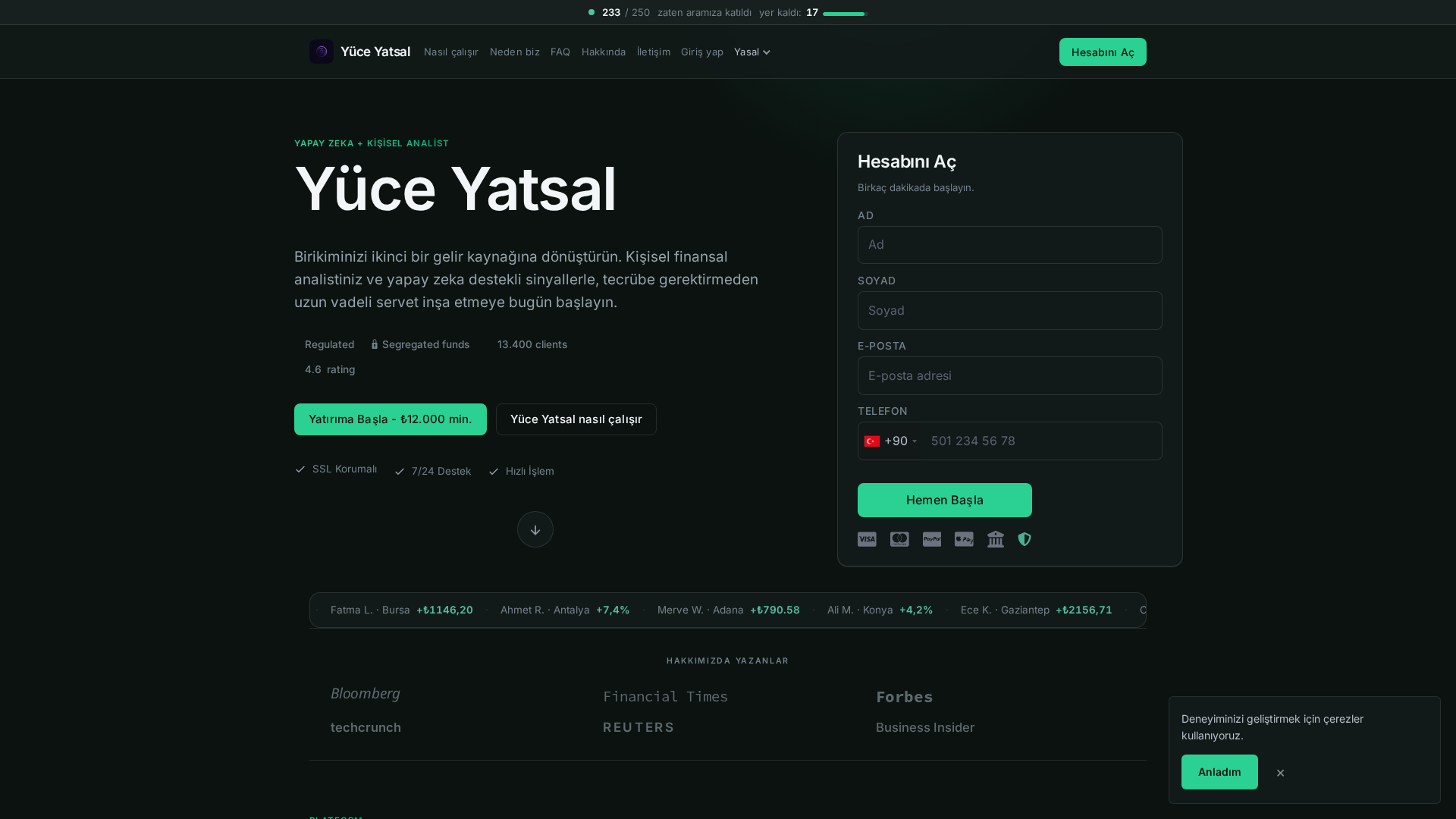 Screenshot of yuceyatsal-finance.com