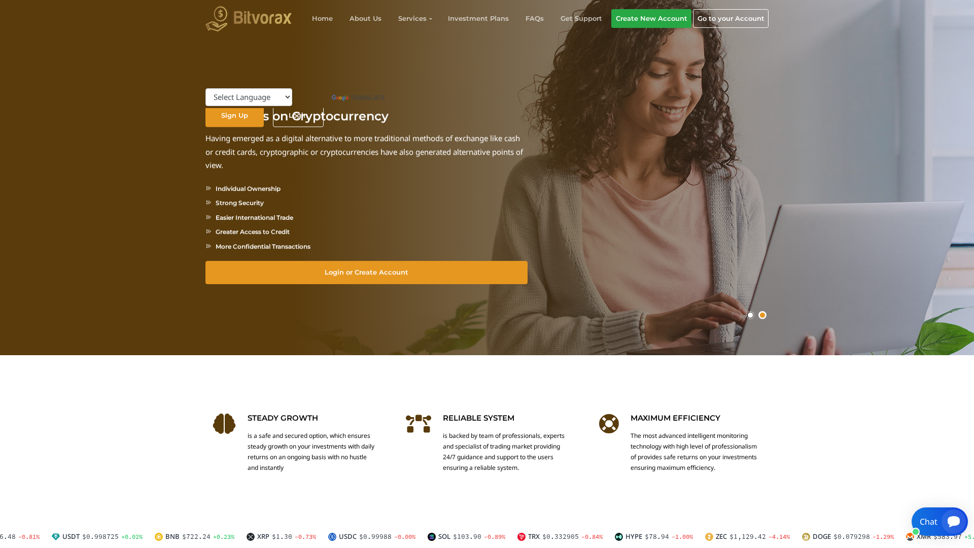 Screenshot of bitvorax.xyz